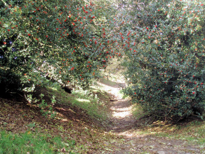 Footpath to Lose Hill Footpath to Lose Hill
